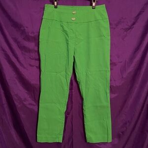 New York & Company Vibrant Kelly Green Petite Jegging Pants. Size S Petite.